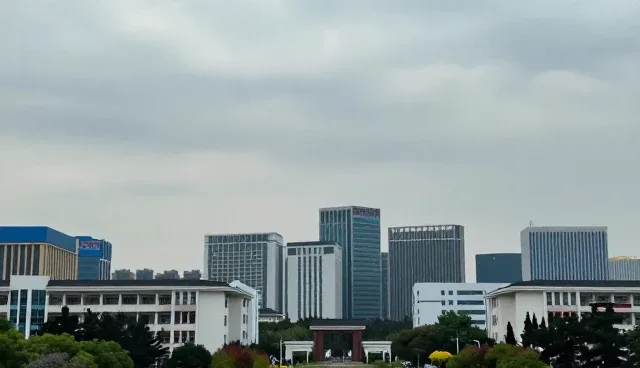 信息技术支持中的常见问题与应对策略