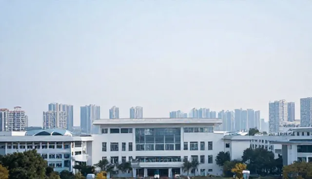 企业数据管理系统使用中的成本控制问题